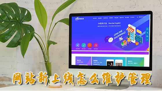 深圳宿云网络科技有限公司专注网站运营维护